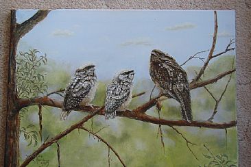Frogmouth family - Frogmouth family by Josephine Smith