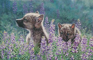 Scent of Spring - Wolf pups by Lindsey Foggett