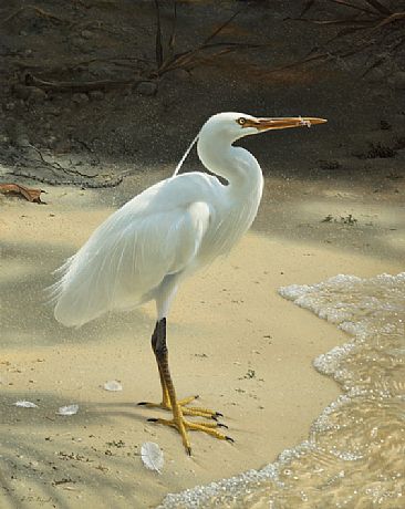 Egret -  by Hans Kappel