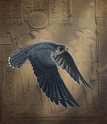 The Spirit of Horus - Peregrine Falcon by Hans Kappel