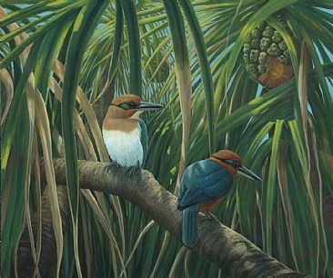 Guam Micronesian Kingfishers - Guam Micronesian Kingfisher;Todiramphus cinnamomina by Jon Janosik