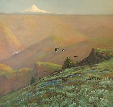 Deshutes Canyon Magpies - Magpies, Mt. Hood, Deshutes River Canyon, Spring landscape. by Jon Janosik