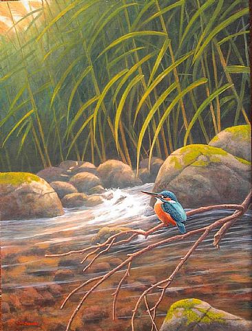 Kawasemi: Kyushu - Japanese Common Kingfisher; Alcedo atthis; (Jp.''Kawasemi'') by Jon Janosik