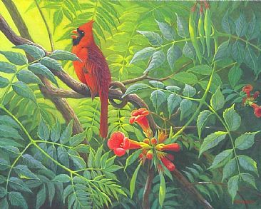 Summer Song:Northern Cardinal - Northern Cardinal male;Cardinalis cardinalis/Trumpet vine;Campsis radicans by Jon Janosik