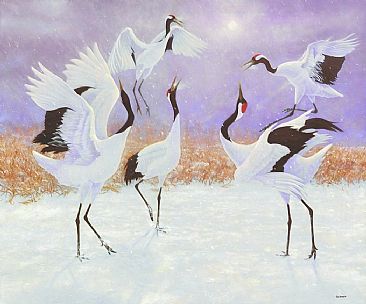 Tanchou Mandala - Japanese Red-crowned Cranes;Grus japonesis by Jon Janosik