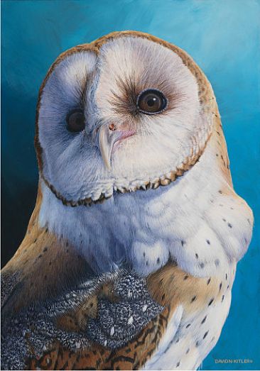 Larger than Life - Barn Owl - Barn Owl by David Kitler