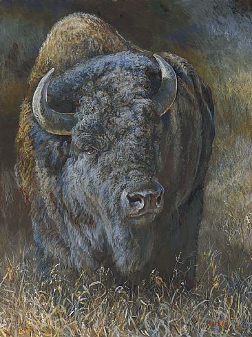 Thunder King - American Bison by Laura Mark-Finberg