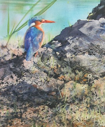 Jewel in the Mud - Malachite Kingfisher by Linda Sutton
