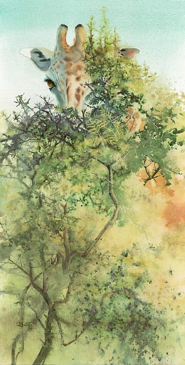 Morning Mimosa - giraffe and acacia tree by Linda Sutton