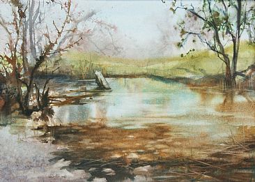 Sycamore Creek - creekside water by Linda Sutton