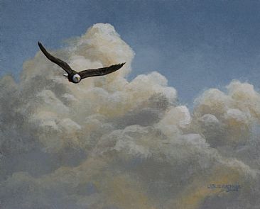 Flying High- Bald Eagle - Bald Eagle  by Leslie Kirchner