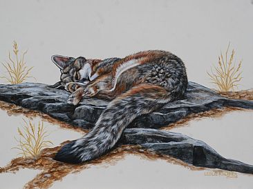 Daydreamer - Grey Fox by Leslie Kirchner