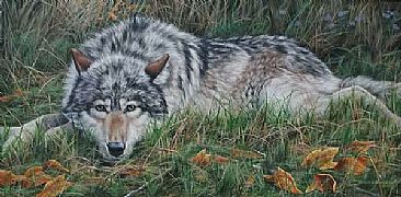 Autumn Morning  - Grey Wolf by Leslie Kirchner