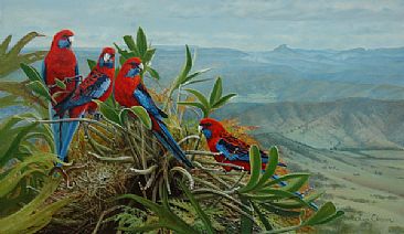 A Perch With A View - Crimson Rosellas at Lamington National park by Lyn Ellison