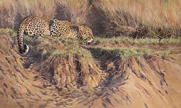 Leopard - Ambush in the Lugga - African Leopard by Lyn Ellison