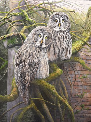 Great Grey Owls - Great grey Owls by Lyn Ellison