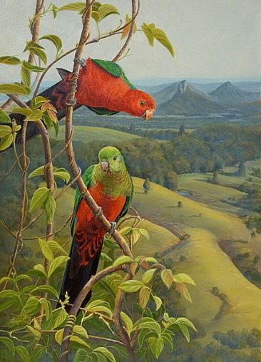 Kings Lookout - King Parrots by Lyn Ellison
