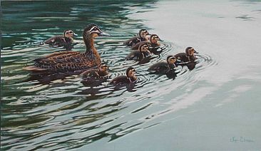 Leading From Behind  - Pacific Black Ducks by Lyn Ellison