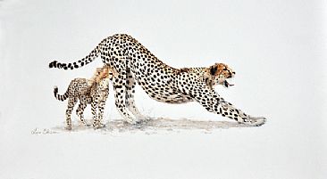 Little Shadow - Cheetahs by Lyn Ellison