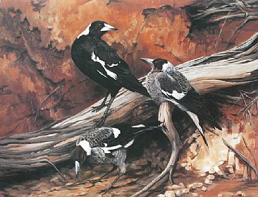 Magpie Morning - Australian Magpies by Lyn Ellison