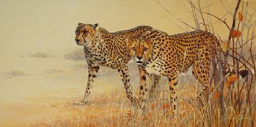 Out of the Long Grass - Cheetahs by Lyn Ellison