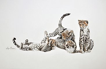  Cheetah Cubs - The Spotted Gang - Cheetah cubs by Lyn Ellison