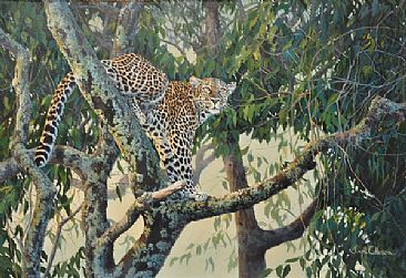 Queen of the Treetops - Leopard by Lyn Ellison