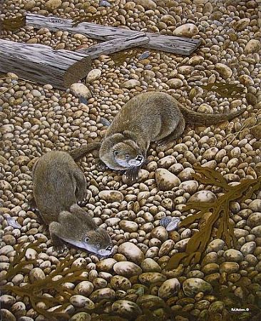 At Waters Edge - Common otter's by Pat Watson
