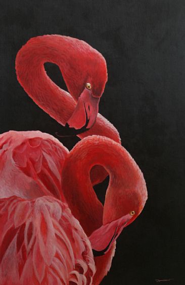 Crimson Camber - Greater flamingo by Raymond Easton