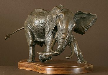 Fury - African Bull Elephant by Douglas Aja