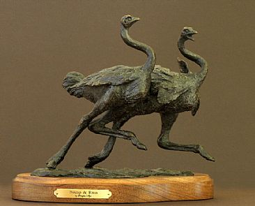Bump & Run - Ostriches by Douglas Aja