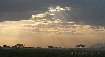 Break Through the Clouds (color) - African Elephants by Douglas Aja