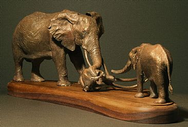 Mourning Erin - African Elephant by Douglas Aja