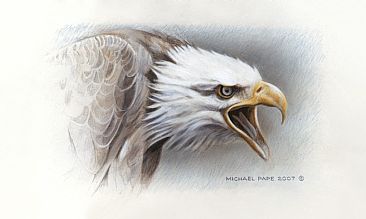 Bald Eagle Study - Bald Eagle Study - Original Acrylic Painting /Study has been sold. Limited edition canvas gicle print is avilable for $199.00 framed. by Michael Pape