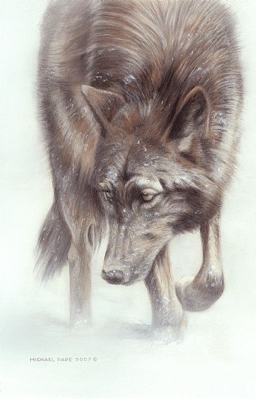 Running Wolf - Original mixed media painting has been sold. Limited edition gicle watercolour paper prints of Running Wolf are available for $199.00 framed. by Michael Pape