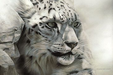 Solitary Watch - Snow Leopard - Limited edition giclée watercolour paper print of  Solitary Watch - Snow Leopard  is available for $199.00 framed. by Michael Pape