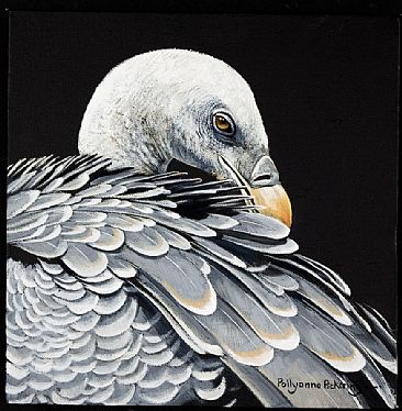The Scavenger - Vulture by Pollyanna Pickering