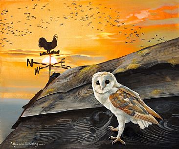 Red Sky at Night - Barn Owl by Pollyanna Pickering