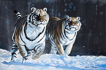 Race For Survival - Tigers by Pollyanna Pickering
