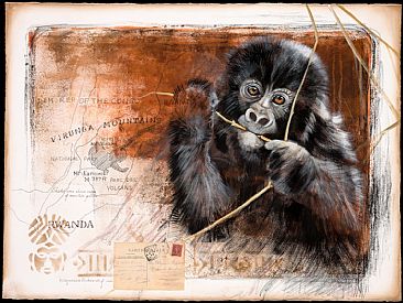 The Virunga Mountains - Mountain Gorilla by Pollyanna Pickering