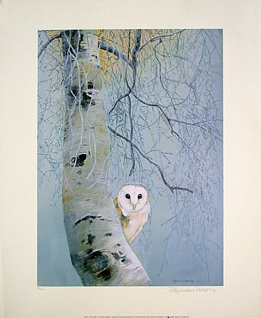 Dawn Til Dusk - Barn Owl by Pollyanna Pickering