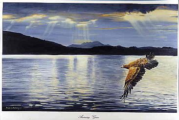 Amazing Grace - Golden Eagle by Pollyanna Pickering