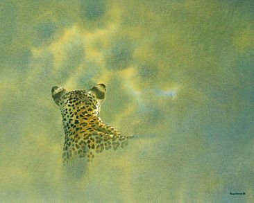 Ahead - African Leopard by Alison Nicholls