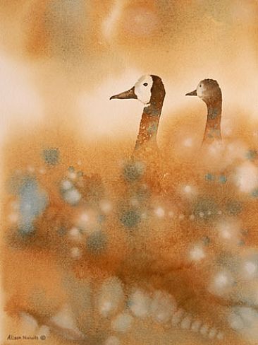 Heads Up - White-faced Ducks by Alison Nicholls