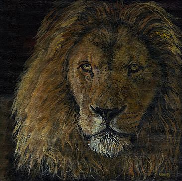 Out of the Shadows - Lion by Karin Snoots