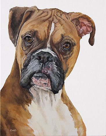 Zoey - Boxer by Karin Snoots