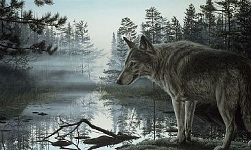 Mist - Timberwolf by Edward Spera