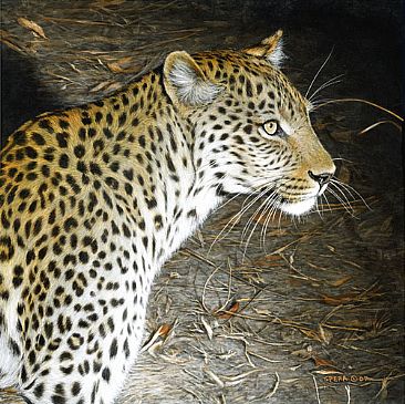 Nighstalker - African Leopard by Edward Spera