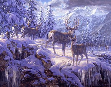 Mountain Light - mule deer  by Beth Hoselton