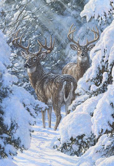Winter Sentinels - White-tailed Deer by Beth Hoselton